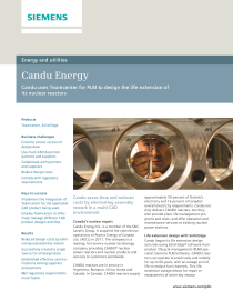 Reactor Safety Criticality Coding For Multi-Unit CANDU NPP