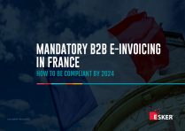 MANDATORY B2B E-INVOICING